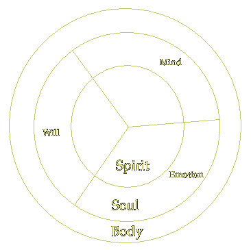 Biblical anthropology diagram.