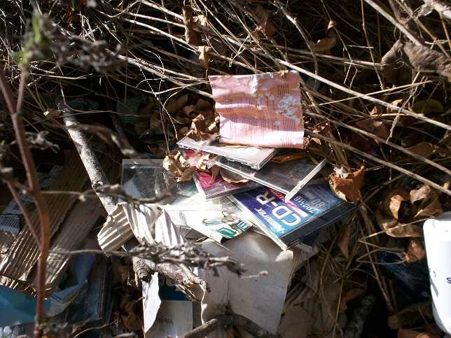 Even more CDs on a burnpile.